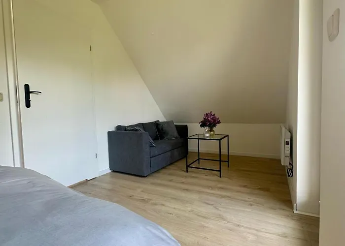 Odpoczniesztu Daire Brzozowa (Tarnow)